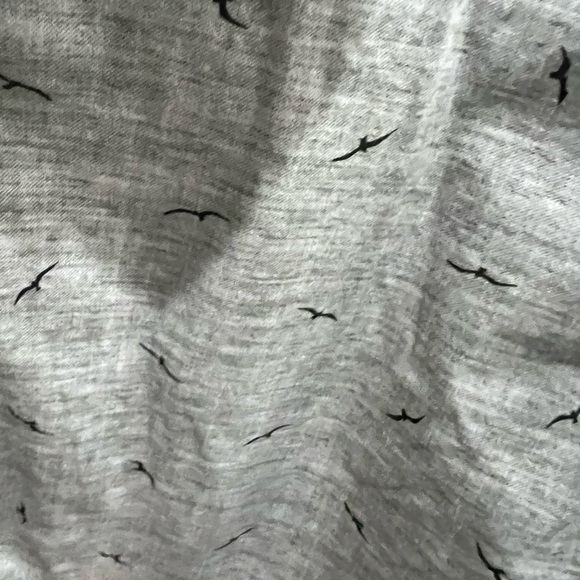 Various boys shirts! All sizes are 7-8. Super cute! Just wrinkled! - Picture 9 of 16